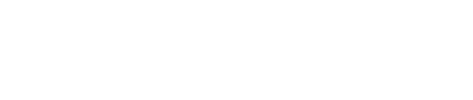 SENS SMART 1